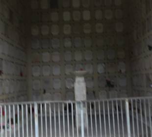 Nordfriedhof München