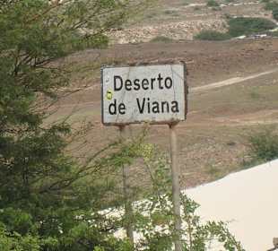 Die Wüste