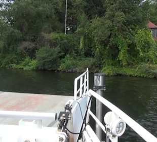 Fähre zur Pfaueninsel