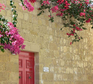 Stilles Mdina