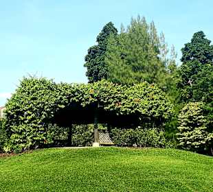 Botanischer Garten