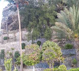 Stadtrundgang San Agustín