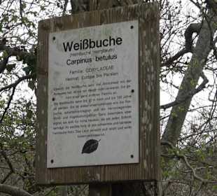 Wanderung rund um das Rusenschloss Gerhausen