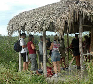 Infopoint auf Dschungeltour