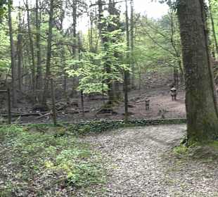 Walderlebnisweg Rottenburg