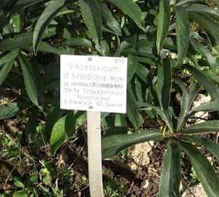 Alpinum