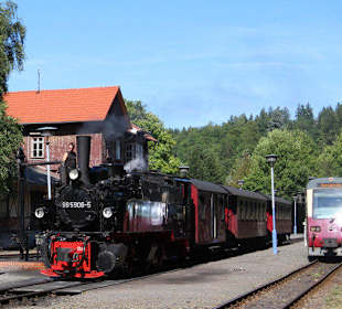 Historischer Dampfzug