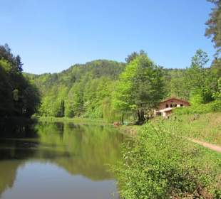 Am Paddelweiher in Hauenstein