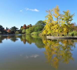 Impressionen aus dem Botanischen Garten Hamburg