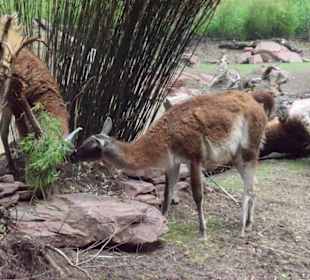 Wer kommt aufräumen?