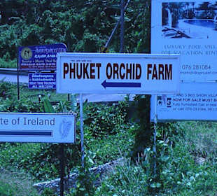 Orchid Farm - Orchideen Farm 