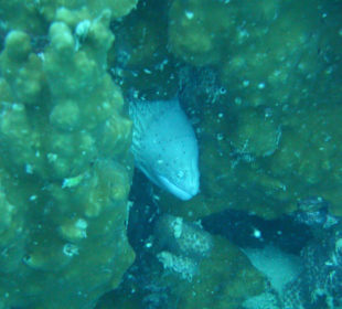 Diving Center - Grand Hotel Stella di Mare