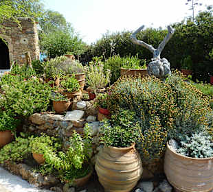 Kräutergarten, wie herrlich durftend