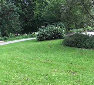 Volkspark