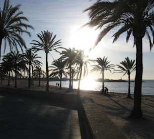 Richtung Hafen El Arenal