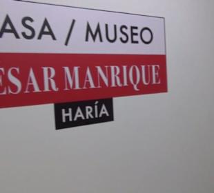 Fundacion Cesar Manrique