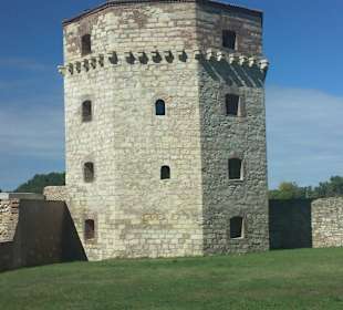 Wieża
