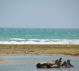 Strand von Bibione 06-2010