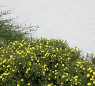 Evangelische Kirche Dottingen