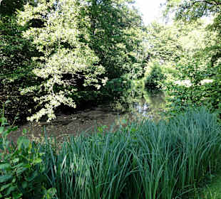Impressionen aus dem Oslebshauser Park
