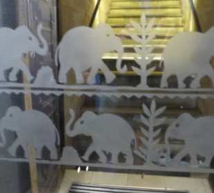 Elephant Club Restaurant&Music, Długi Targ 41-42