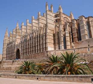 Palma de mallorca