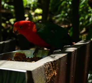 Taronga Zoo