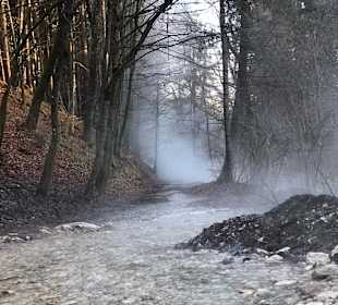 Maibachl-Quellen