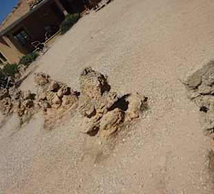 Vor der Burg Castell