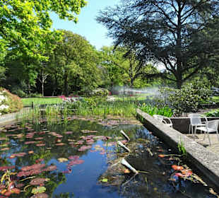 Eindrücke vom Spaziergang durch den Stadtpark