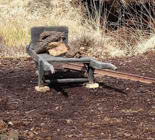 Torfabbau im Moormuseum