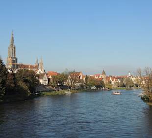 Blick über die Donau auf die Altstadt