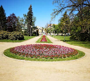 Wandern Frantiskovy Lázne / Franzensbad