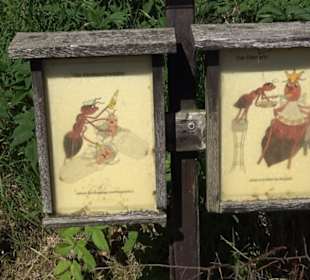 Waldameisen-LehrPfad