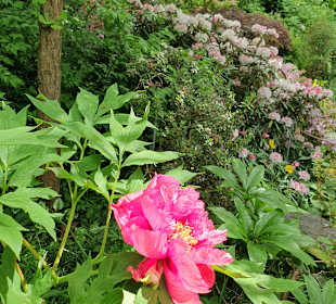 Botanischer Garten 
