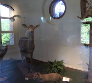 Natur- und Jagdmuseum