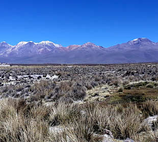 Ausblick vom Restaurant