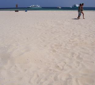 Schneeweißer Strand auf Utopia 