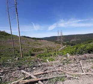 Wandern Clausthal-Zellerfeld