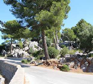 Fahrt nach Torent de Pareis   26