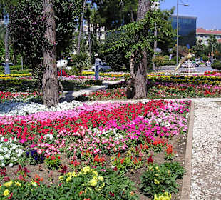 View garden at boulevard at Alanya