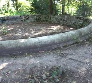 Leibfriedscher Garten