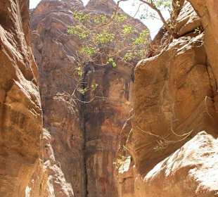 Spacer po Mieście Wykutym w Skale - Petra