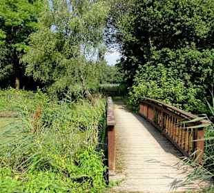 Impressionen aus dem Park Links der Weser