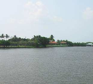 Bentota River