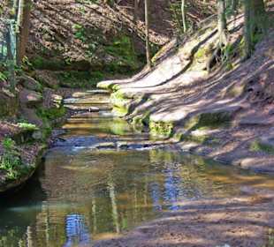 Der Bitterbach im Pegnitztal bei Nürnberg