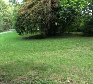 Aussichtspunkt Hasenberganlage