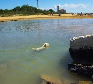 Bei den Buchten am Leuchtturm