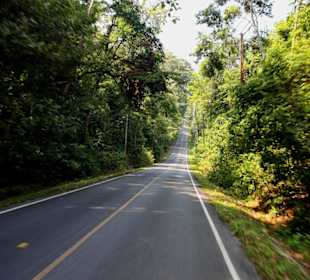 Straße durch den Nationalpark