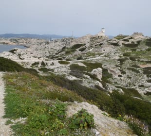 Wanderung Frioul-Inseln